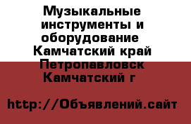  Музыкальные инструменты и оборудование. Камчатский край,Петропавловск-Камчатский г.